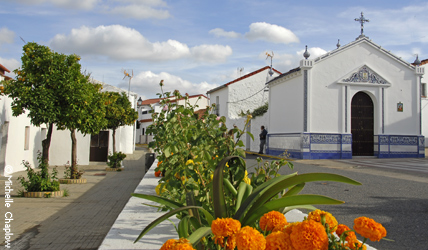Calle Andalucia, lovingly tended by its residents, with many flowers and lemon trees © Michelle Chaplow Calle Andalucia, lovingly tended by its residents, with many flowers and lemon trees © Michelle Chaplow