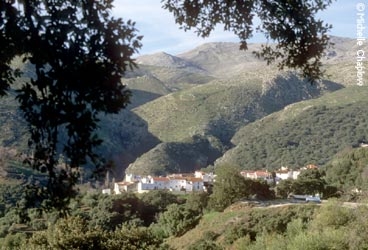 The village of Juzcar © Michelle Chaplow