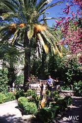 Ronda Mondragón Palace