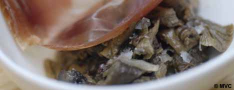 Wild mushrooms sautéed with Spanish onions and garnished with jamon serrano