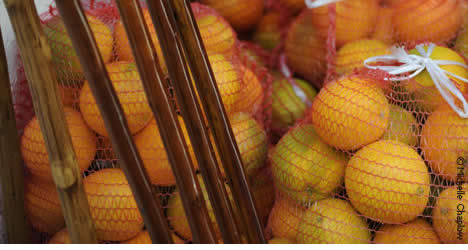 Sturdy walking sticks and Andalucian oranges to accompany your journey © Michelle Chaplow