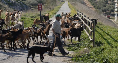 Via verde of the Sierra Subbetica Via verde of the Sierra Subbetica
