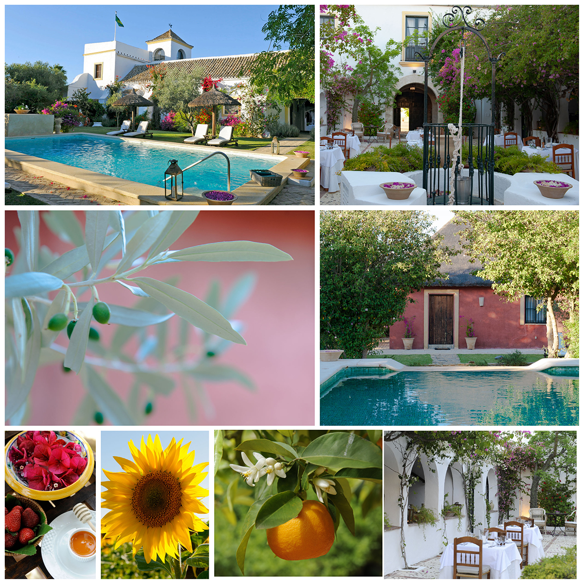 Hacienda San Rafael, an enchanting hideaway hotel. © Michelle Chaplow