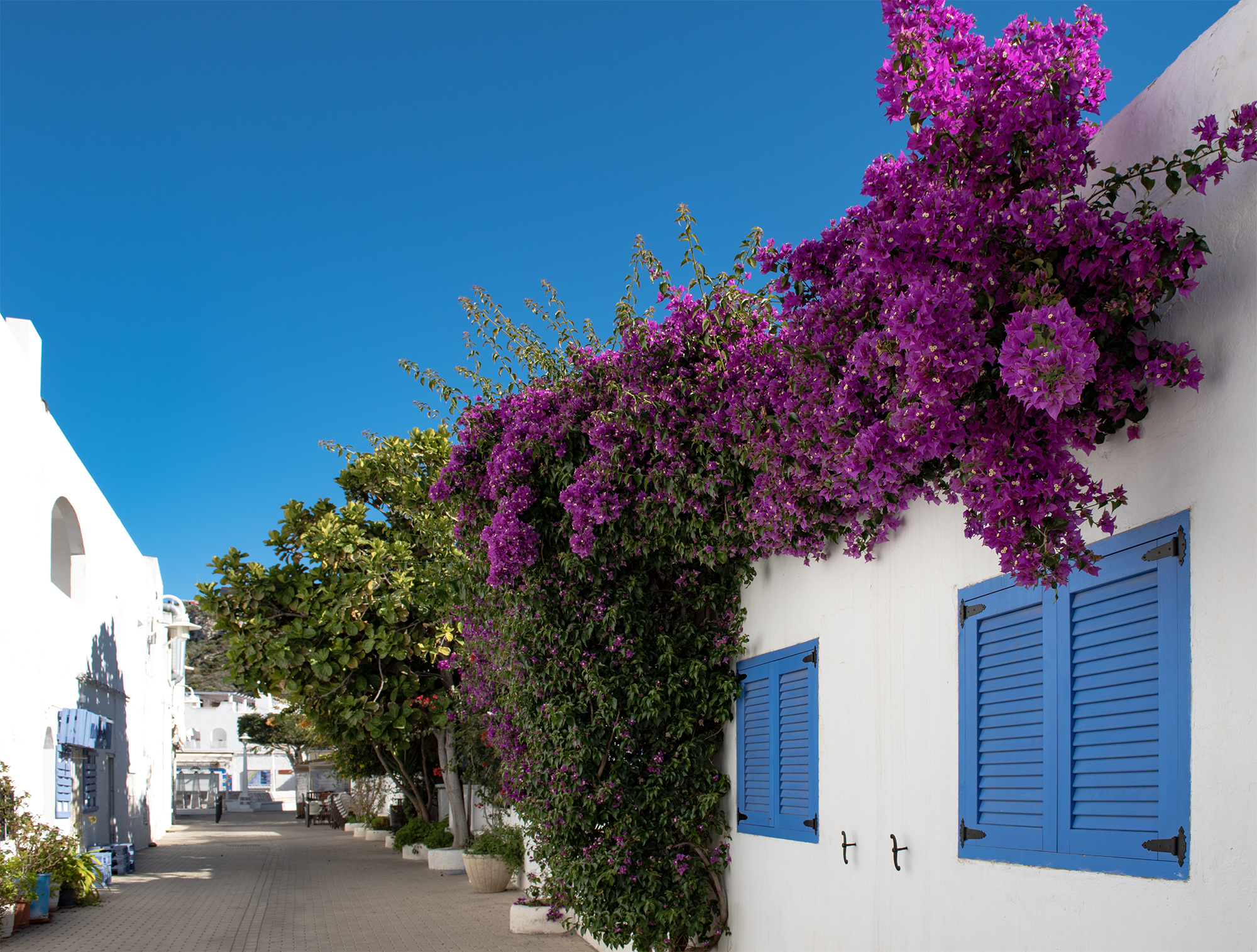 Agua Amarga Village in Costa Almería Almería province Andalucía