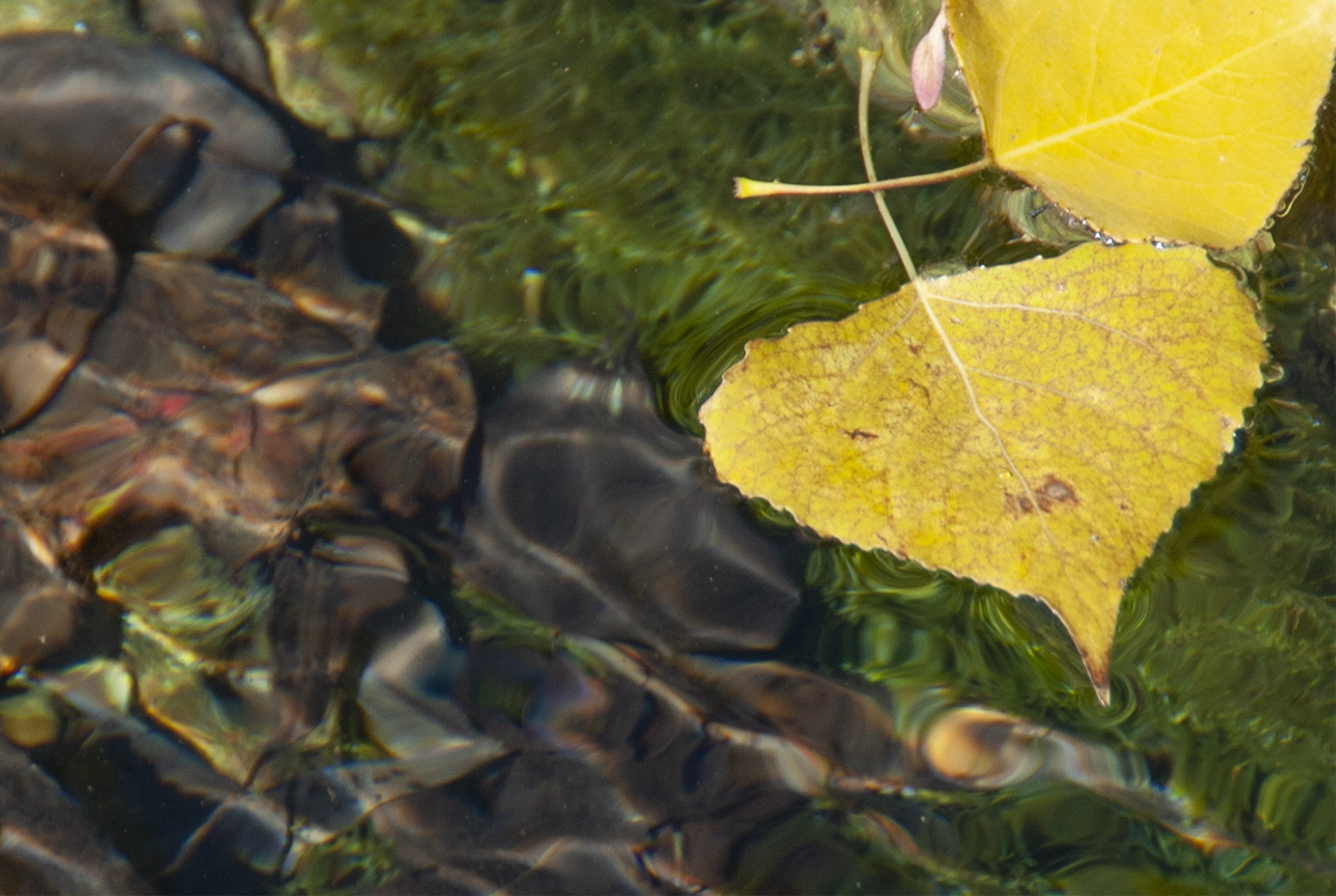 Crystal clear waters, the source of the River Genal. © Michelle Chaplow