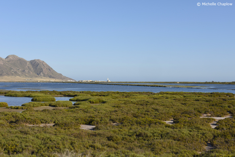 Salt marshes, Cabo de Gata, Almeria, Andalucia © Michelle Chaplow