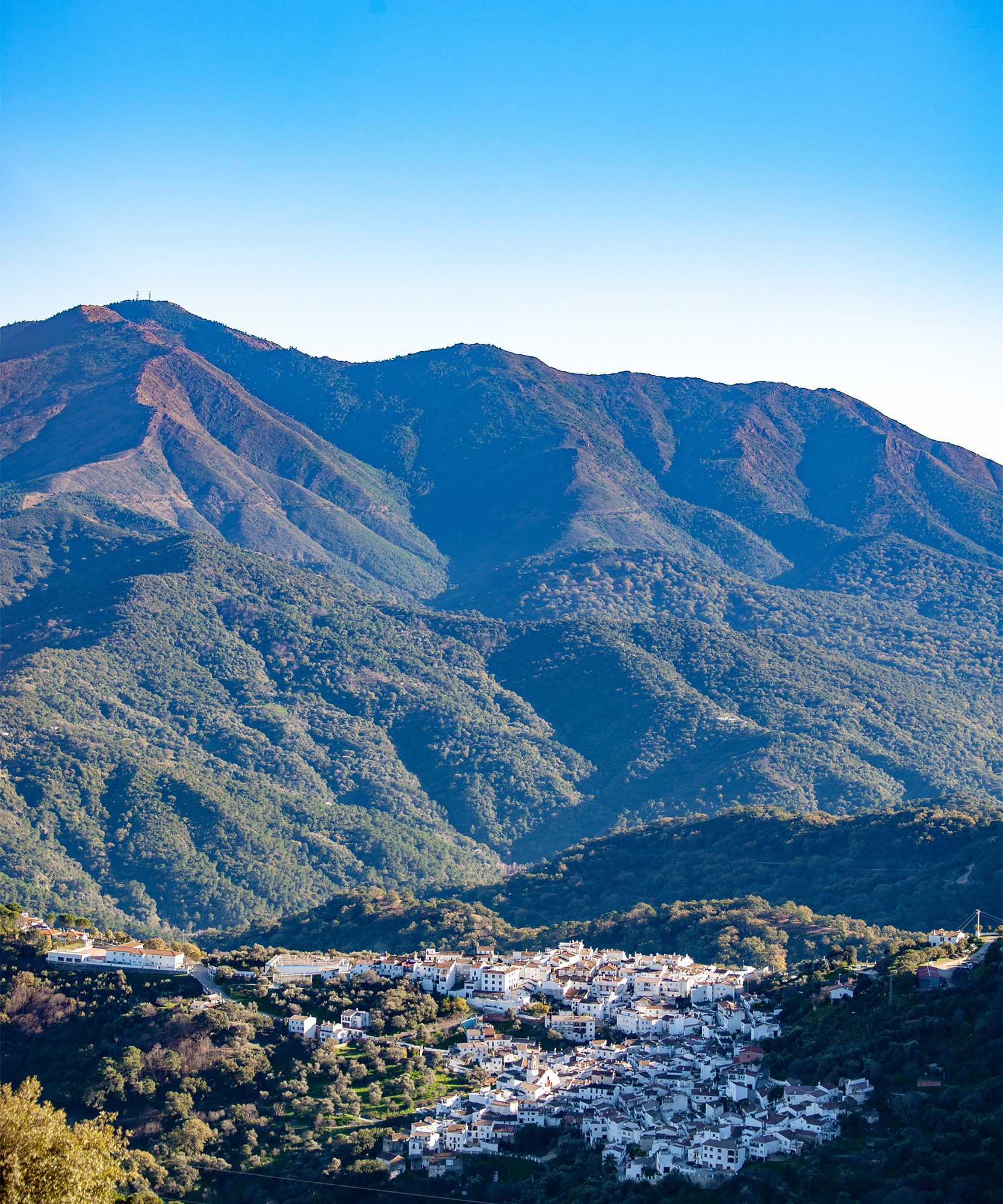 Benarraba, nesteled in the Serrania de Ronda © Michelle Chaplow