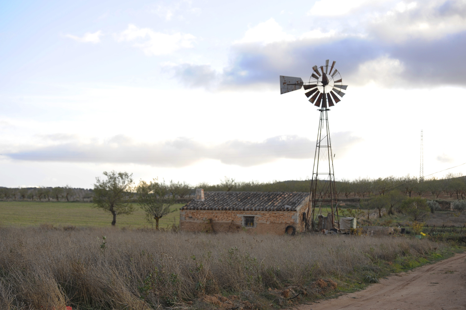Wind driven water pump near  Cúllar Vega © Michelle Chaplow