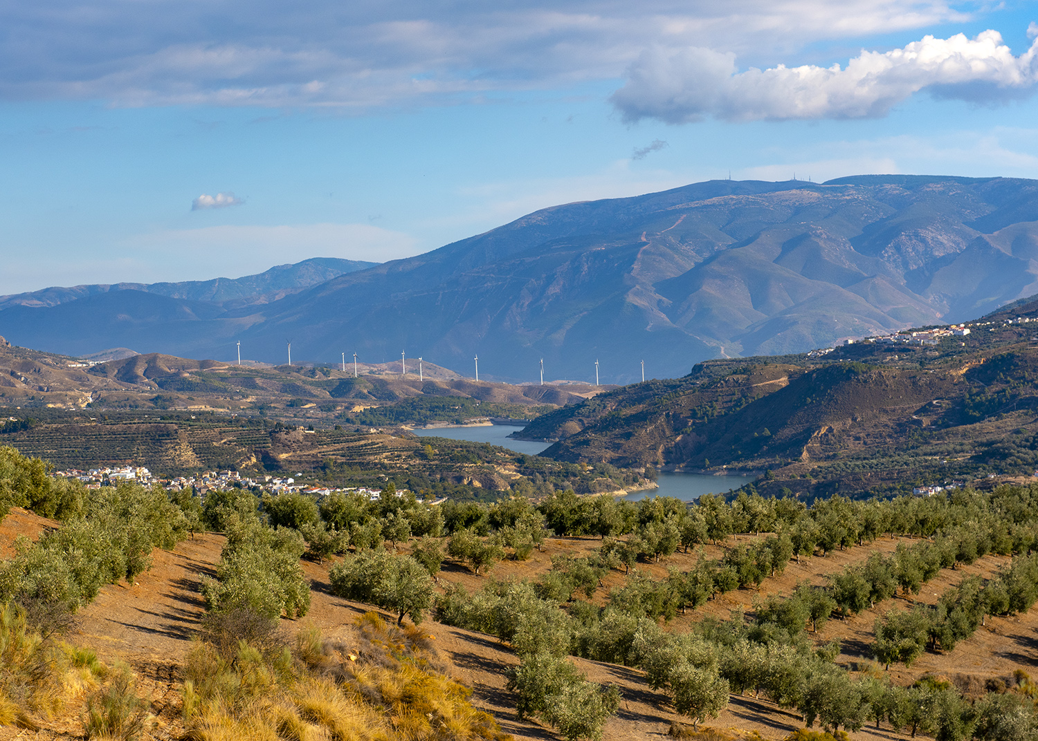 Olive groves, quaint white villages in the &quot;comarca&quot; of the Lecrin Valley. © Michelle Chaplow