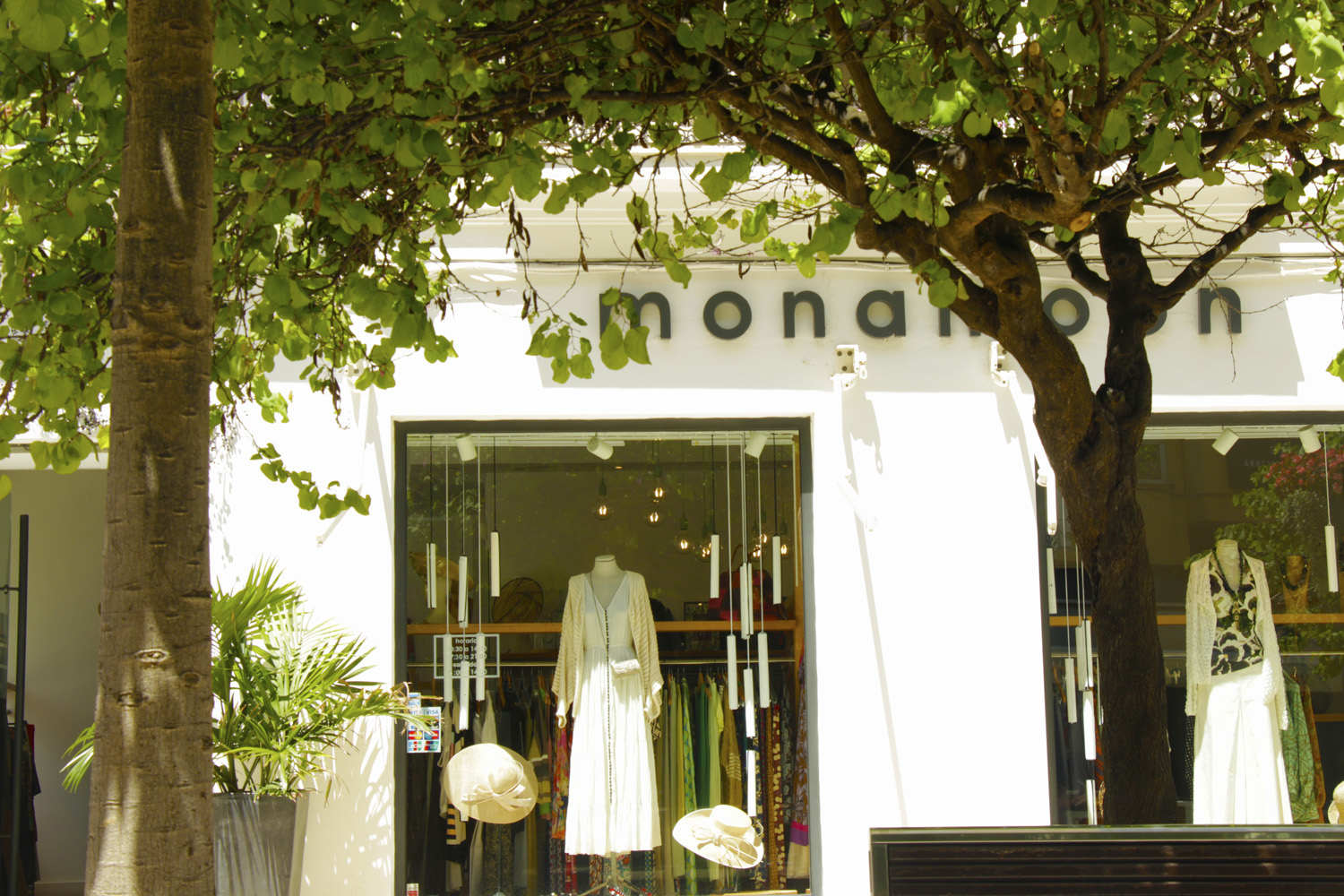 Tienda deals vans malaga