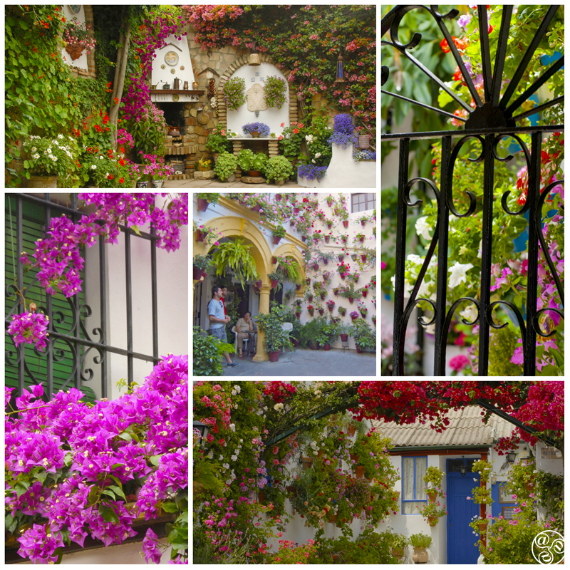 Cordoba patios and patios contest City of Cordoba