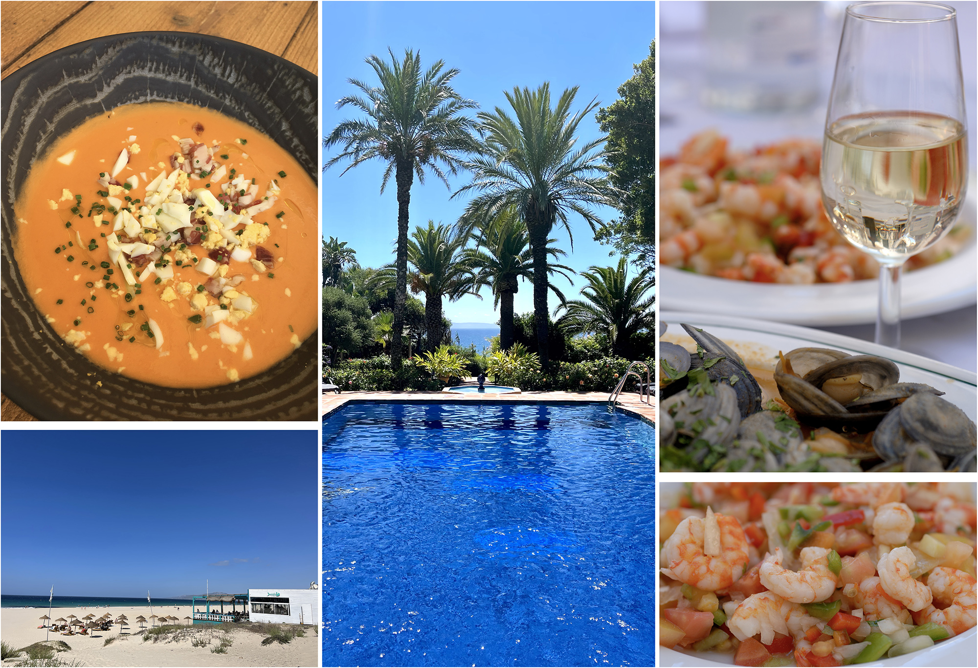 Returning to Andalucia -  Sunshine, Swimming Pools, Sherry and Salmorejo.  © Michelle Chaplow