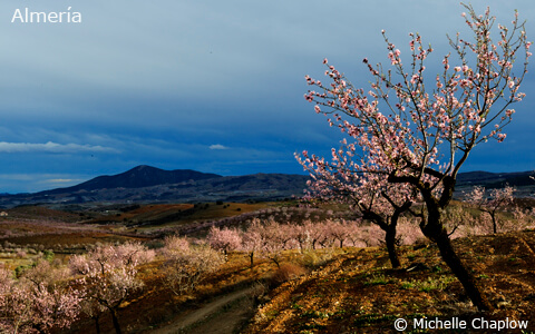 Almeria