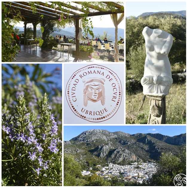 Ubrique, the Roman city of Ocuri © Michelle Chaplow