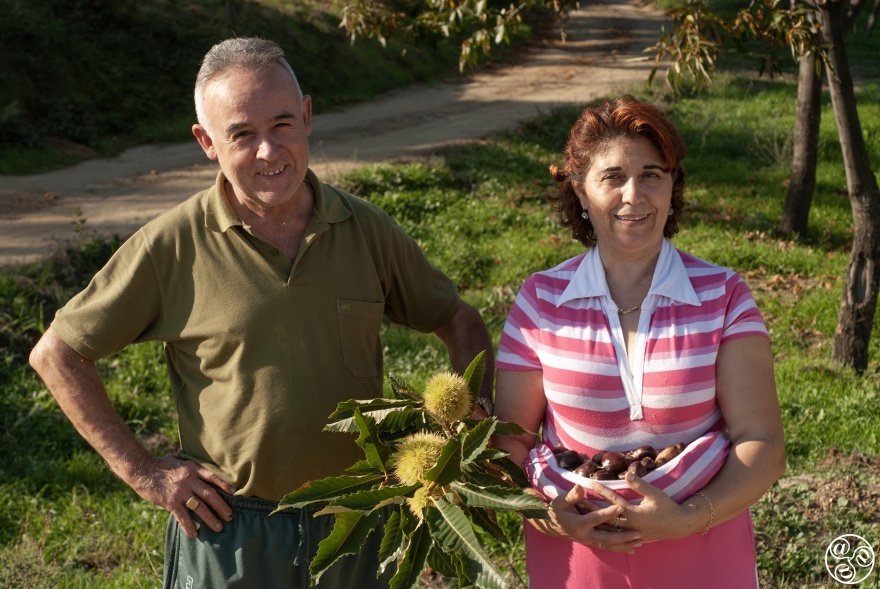 Day trippers Sebastian and Aracile collecting Chestnuts © Michelle Chaplow 