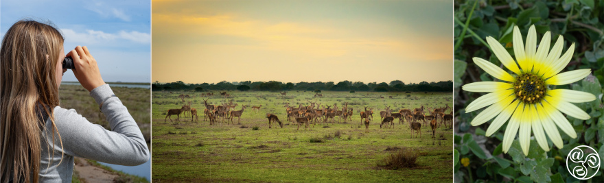  Coto Doñana National Park.