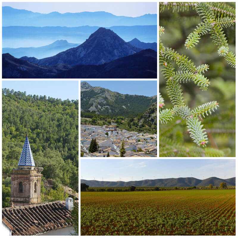 The Landscapes of Andalucia.  © Michelle Chaplow