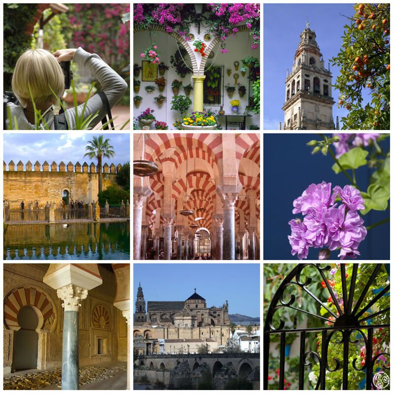 Top Ten sights in Cordoba © Michelle Chaplow