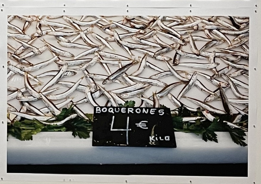 Anchovies at only 4 euros a kilo! ©&nbsp;Martin Parr