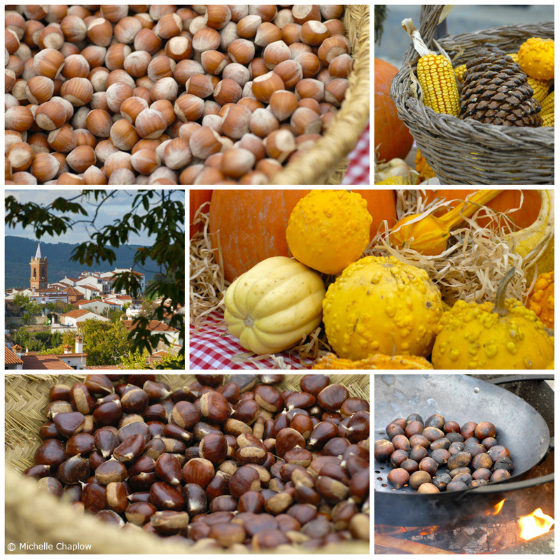 Roast Chestnuts, hazelnuts, squash and pumpkins. An autumn scene in the village of Fuenteheridos © Michelle Chaplow