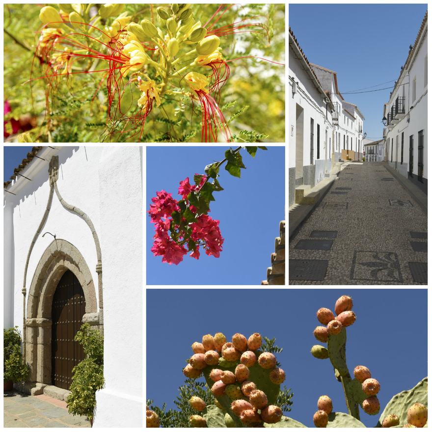 The cobbled streets and exotic plants of Hinojales  © Michelle Chaplow