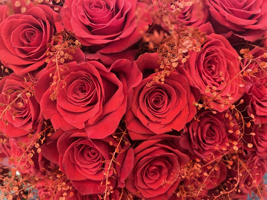 Love is in the air in Andalucia © Michelle Chaplow