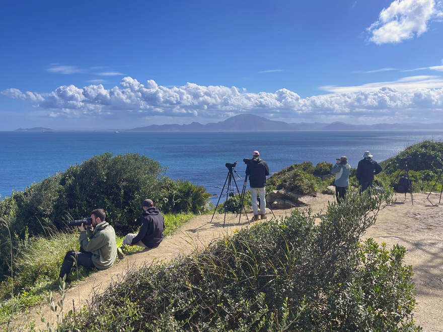 Punto Carnero - Mirador is a superb spot for birdwatching