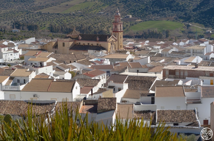 The terracotta roofs and majestic Church make Algodonales a " picture postcard" scene. © Michelle Chaplow