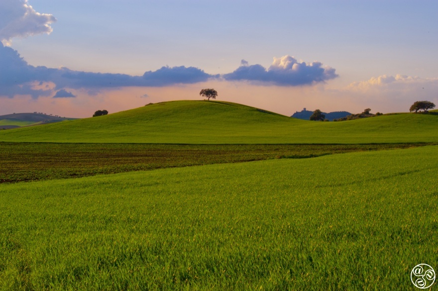 Velvet rolling hills just south of Seville © Michelle Chaplow