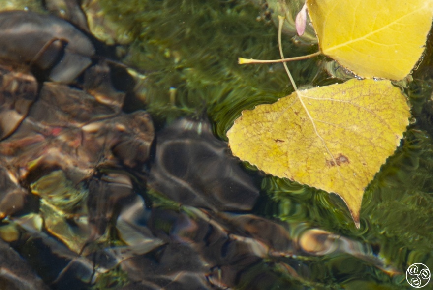 Crystal clear waters, the source of the River Genal. © Michelle Chaplow