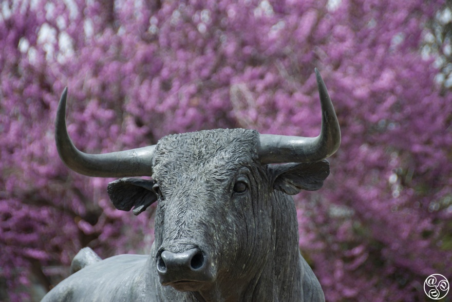 Sculpture to the bull, outside of the Ronda bulling © Michelle Chaplow