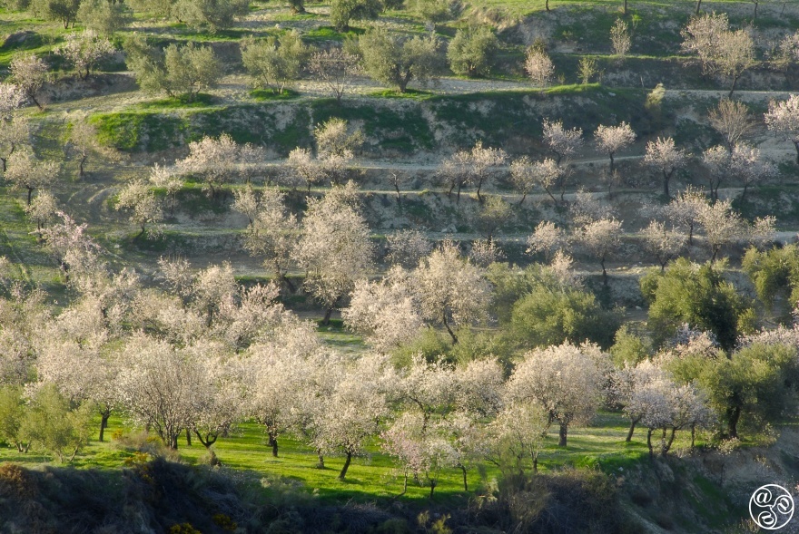 Beautiful landscapes near Beas de Granada © Michelle Chaplow