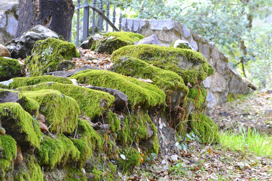 The Sierra de Aracena and Picos de Aroche natural park © Michelle Chaplow