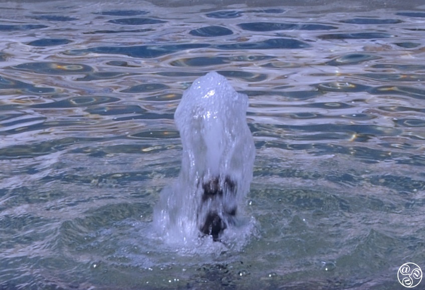 Learn your water vocabulary a - Glossary of water terms in English and Spanish. © Michelle Chaplow
