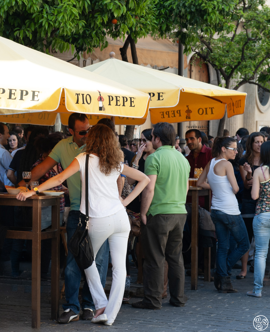 Terrace bar in the Plaza de San Francisco, Sevilla