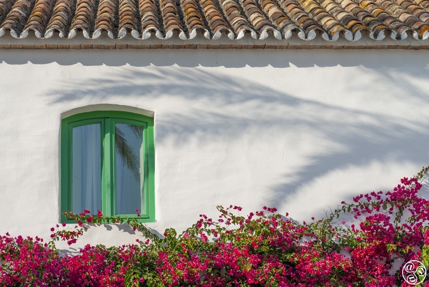 The charm of living in the sundrenced Andalucian countryside © Michelle Chaplow