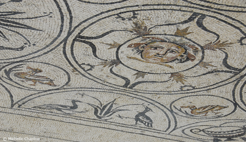 Medusa at Rio Verde Villa  © Michelle Chaplow