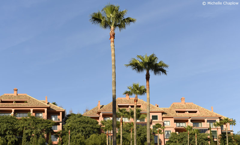 Monte Halcones is on a steep hillside. 