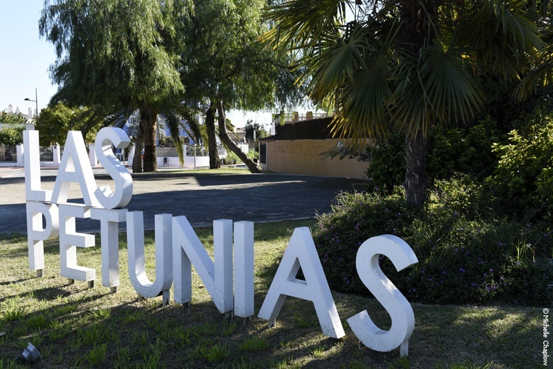 Las Petunias