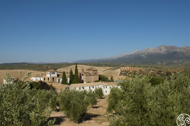 Cortijo del Marques © Michelle Chaplow