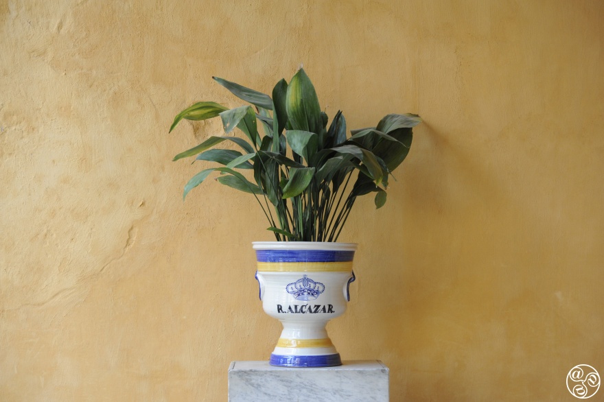 The Alcázar of Seville is known for its rich mix of architectural influences © Michelle Chaplow