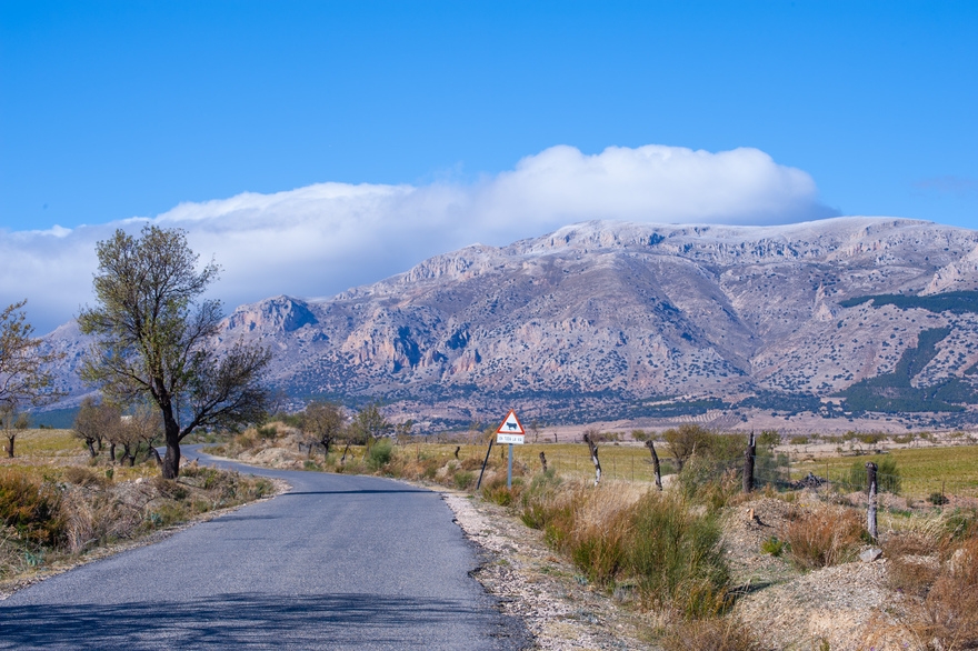 The Parque Natural Sierra María-Los Vélez Designated a natural park in 1987, the Sierra María-Los Vélez occupies the eastern end of the Cordillera Subbética