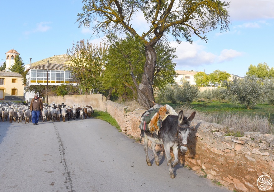 The rural village of Venta Quemada © Michelle Chaplow