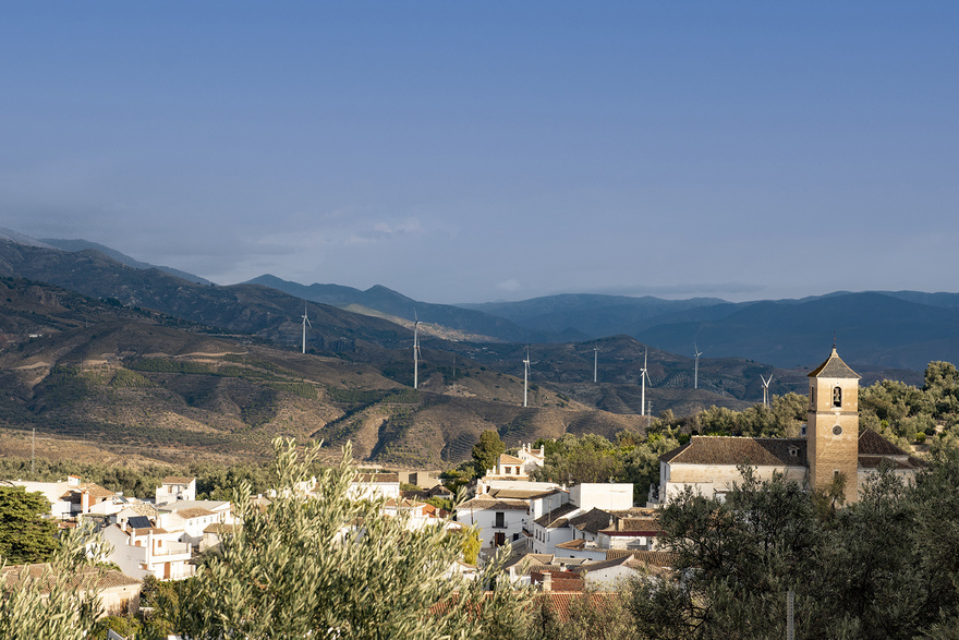 Pinos del Valle © Michelle Chaplow