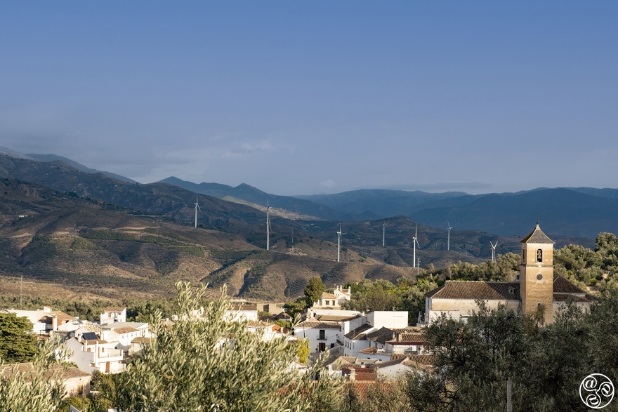 Pinos del Valle © Michelle Chaplow