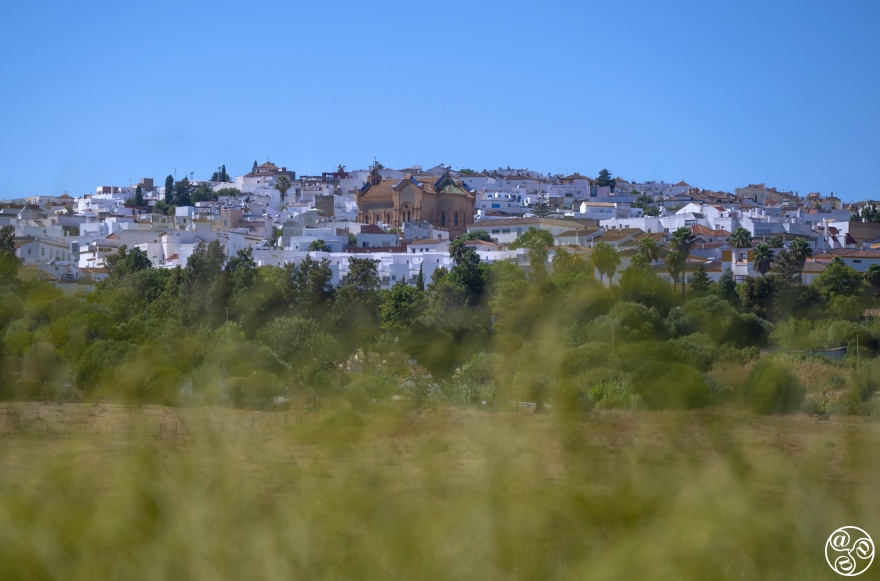 Sunlit charm of Benaulup’s white village, Cádiz © Michelle Chaplow