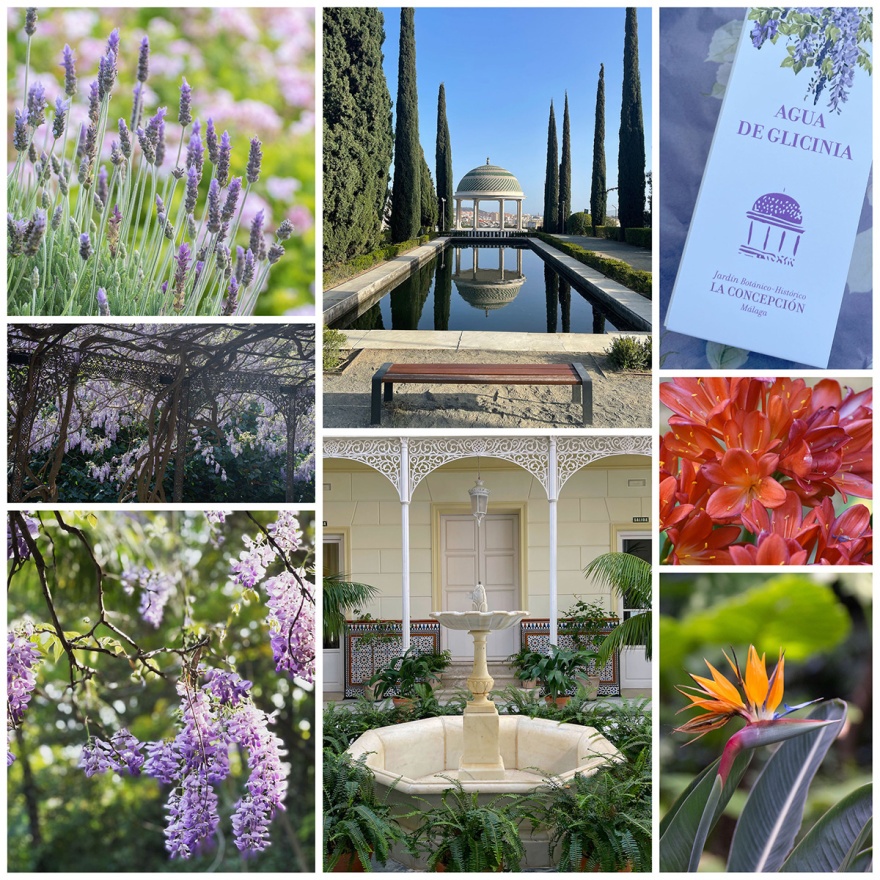 La Concepción Jardín Botánico-Historico de Málaga © Michelle Chaplow