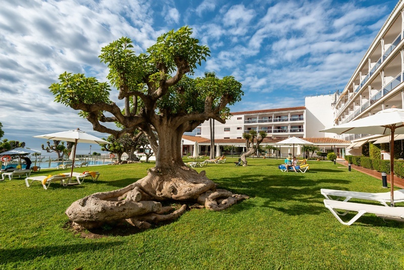 The gardens - the ombú trees, a gift from from Argentina. Photo (C) Paradores