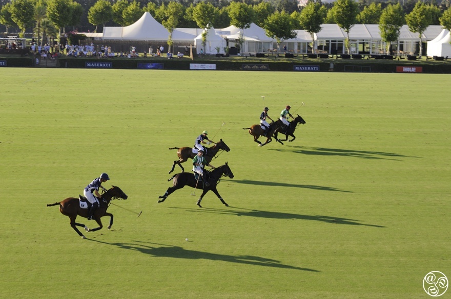 Polo at Los Pinos fields