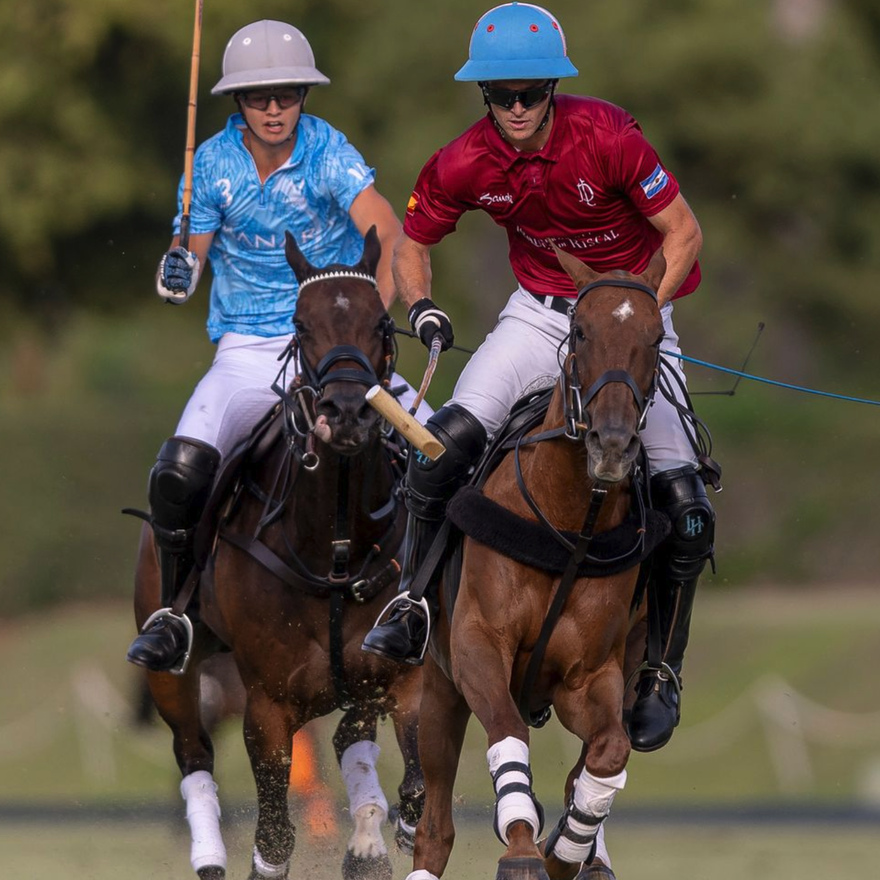Lorenzo Chavanne & Louis Hine - AMANARA vs. LA DOLFINA HEREDEROS DEL MARQUÉS DE RISCAL by  Matias Callejo